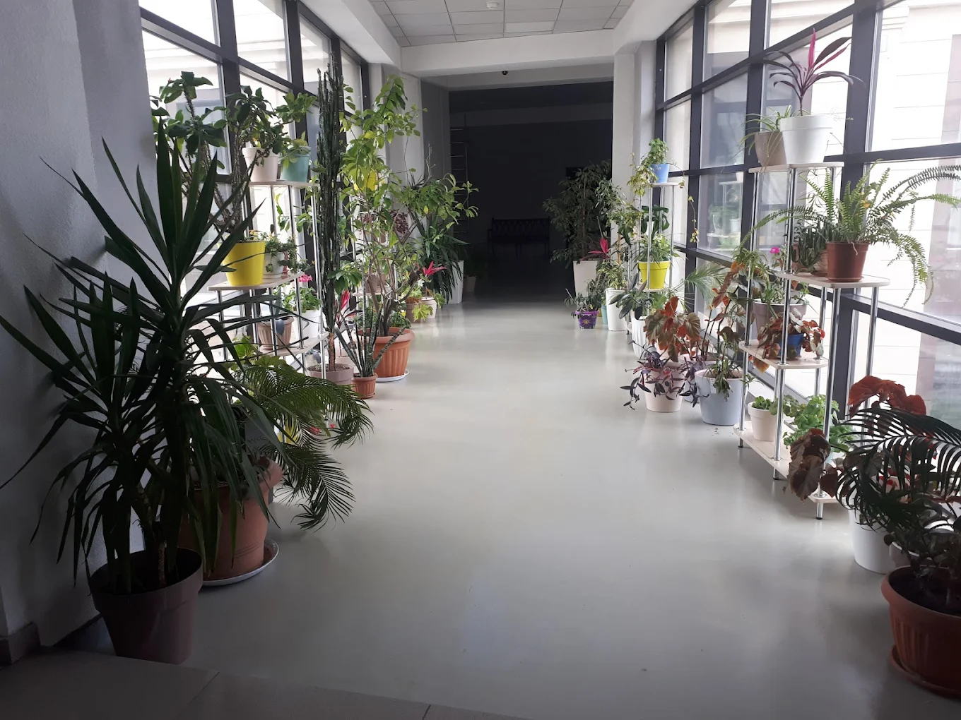 Campus Gallery 7